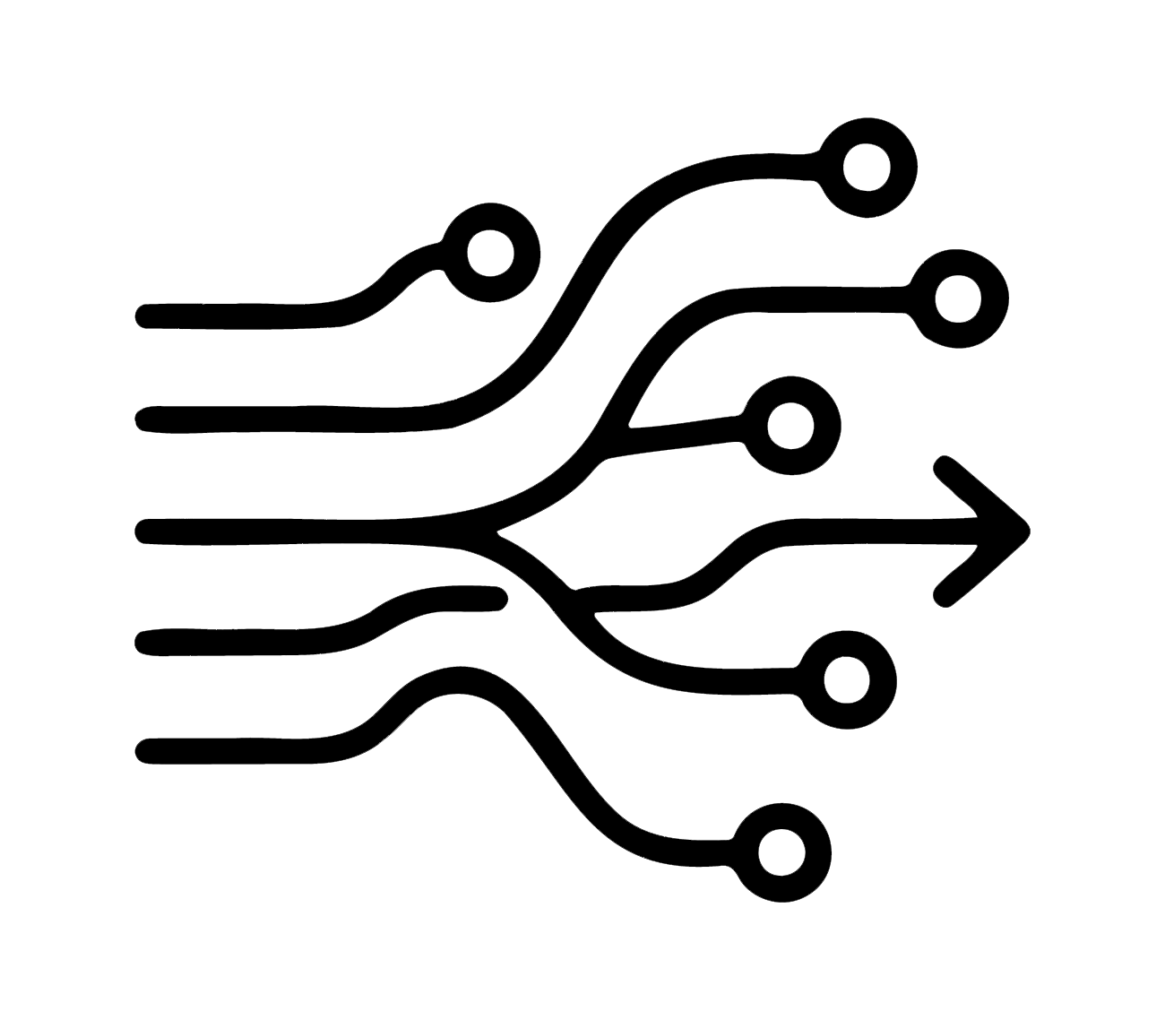 network paths